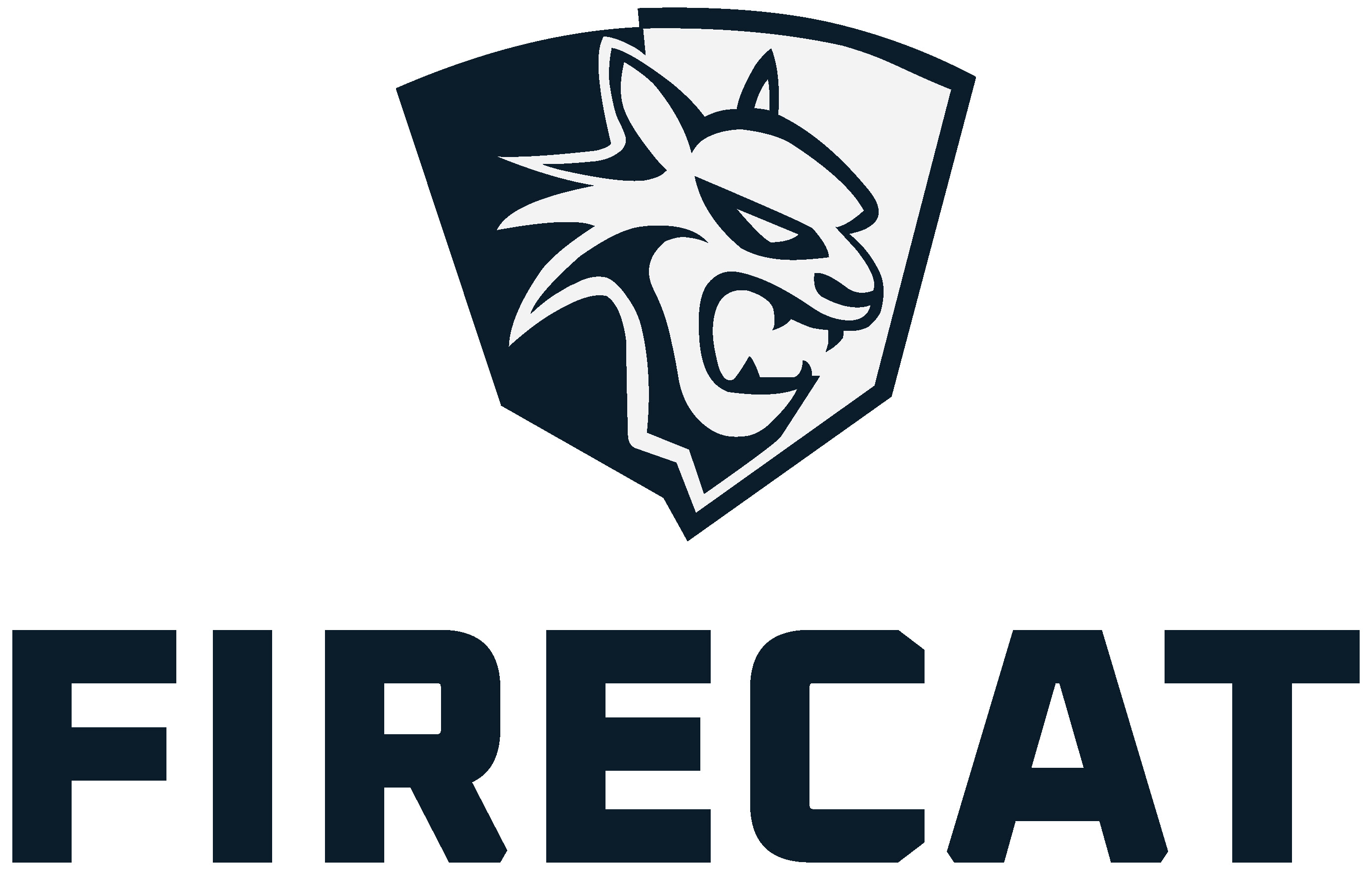 Fire Cat Logo