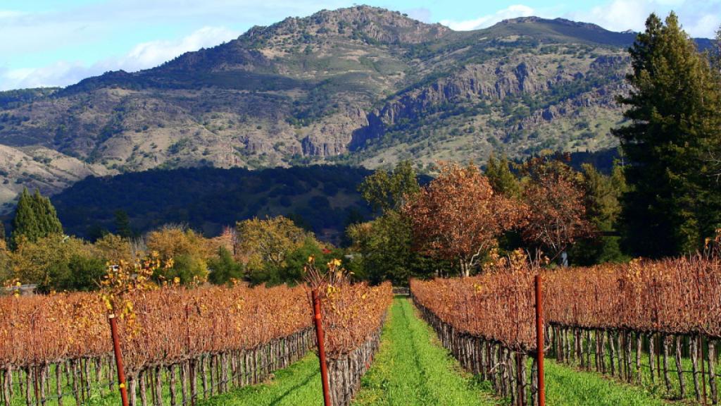 https://commons.wikimedia.org/wiki/File:Autumn_in_Napa_Valley_vineyards.jpg