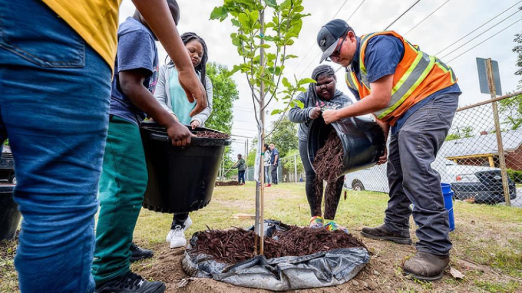 Source: City of Greenville