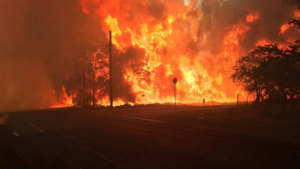 Sydney Bushfire. Photo Credit (above) Photo: A bushfire at Llanilo, western Sydney, 2016. (Twitter: @FRNSW)