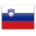 Slovenian flag