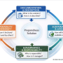 Screenshot from the e-mail from the DIREKTION newsletter illustrating documentation strategy